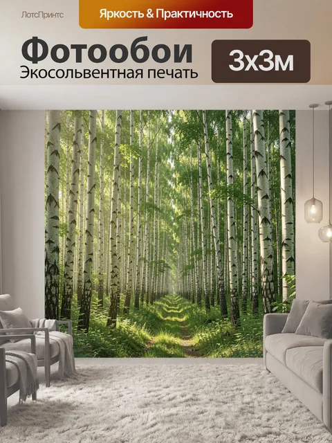 Фотообои Березовая аллея в лесу