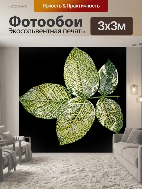 Фотообои Листья