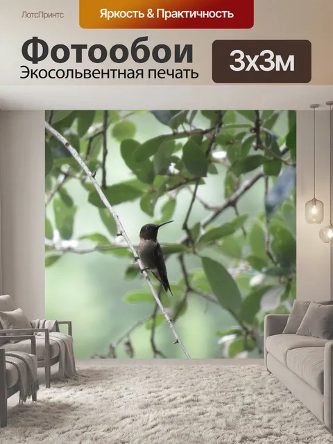 Фотообои Птица