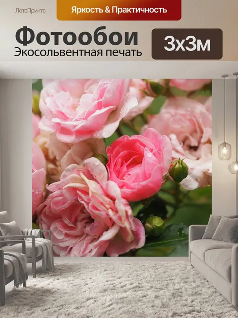 Фотообои Роза