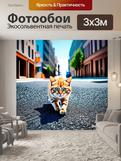 Фотообои городская улица, по которой проезжают асфальтоукладчики, и шалун кот исследует свежеуложенный асфальт