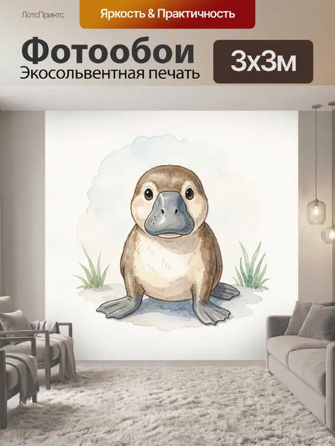 Фотообои Милый морской котик в траве