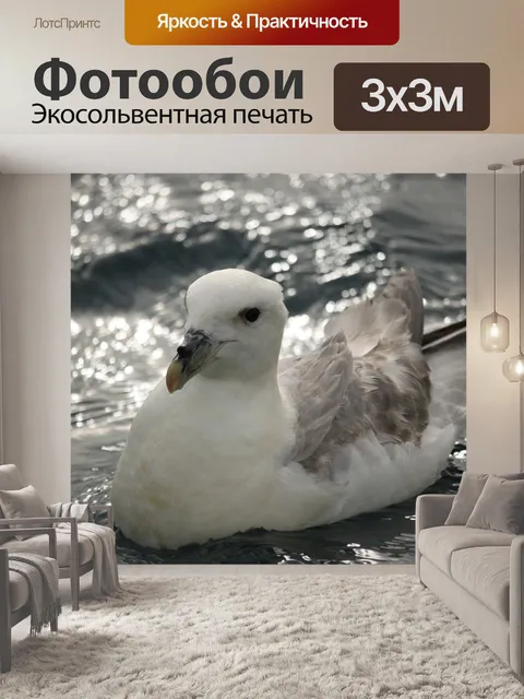 Фотообои Птица
