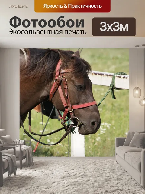 Фотообои Лошадь