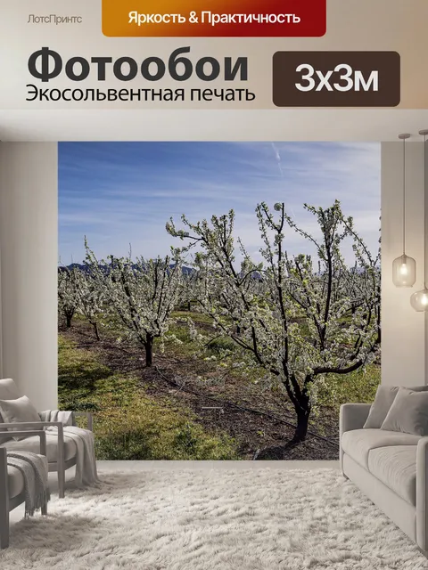 Фотообои Деревья
