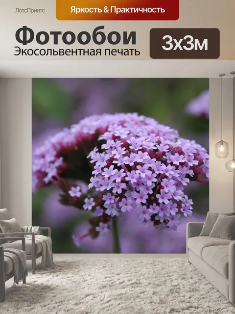 Фотообои Лаванда