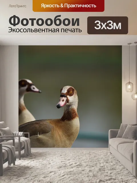 Фотообои Животные