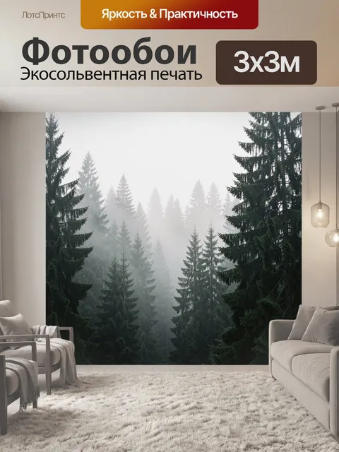 Фотообои Туманный хвойный лес