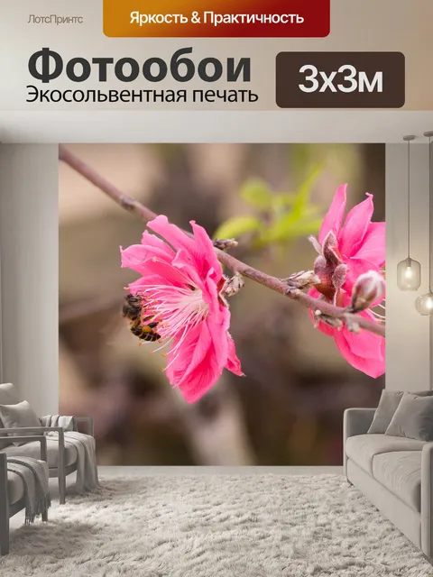Фотообои Персик