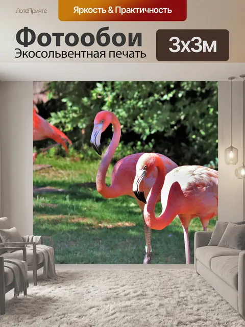 Фотообои Американские фламинго в парке