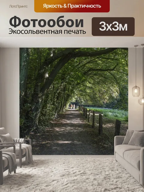 Фотообои Дорожка