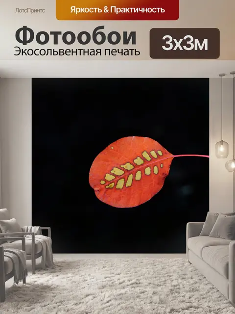 Фотообои Лист