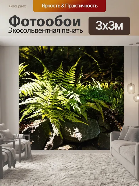 Фотообои листья различных папоротников