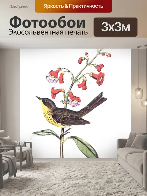 Фотообои Киртландская певчая птица