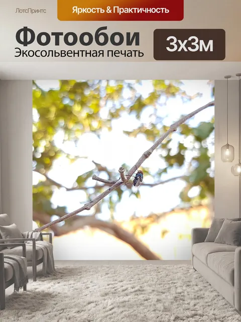 Фотообои Летать