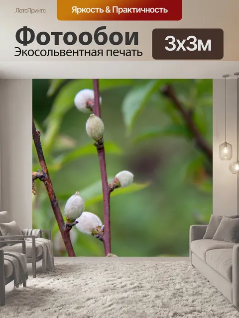 Фотообои Рыбалка
