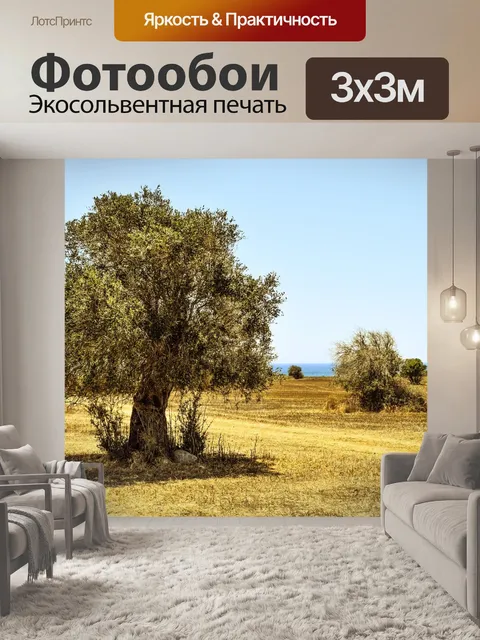 Фотообои Оливковое дерево