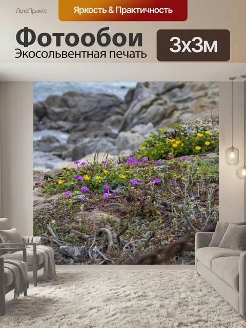 Фотообои пляж полевые цветы