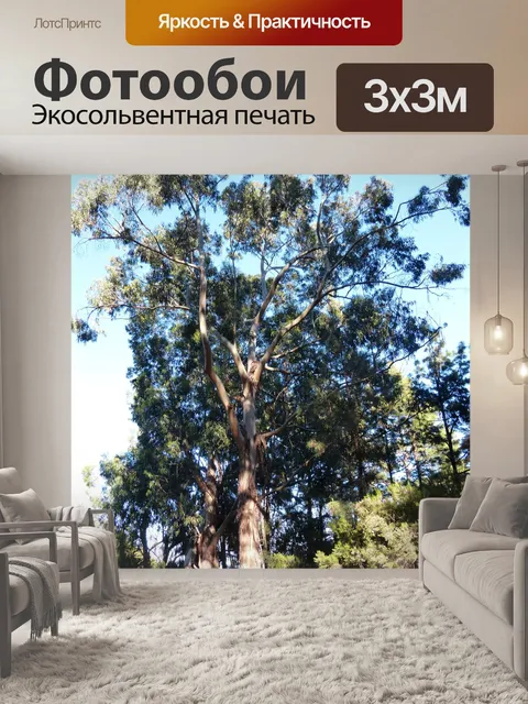 Фотообои Дерево