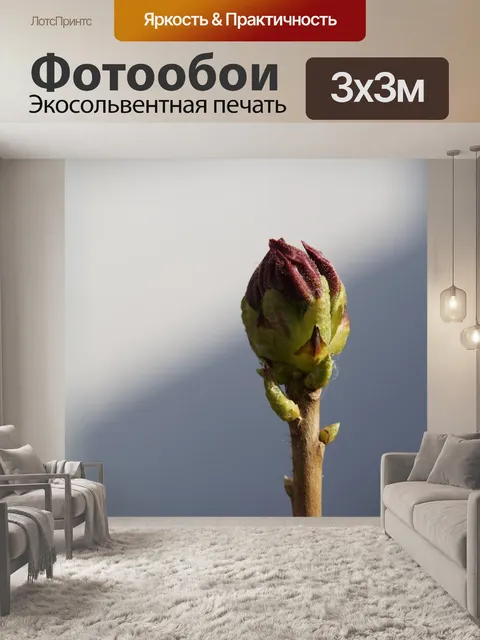 Фотообои Бутон