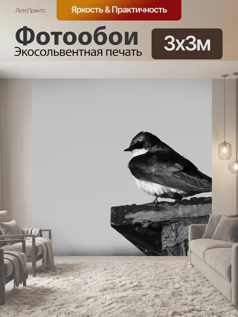 Фотообои Птица
