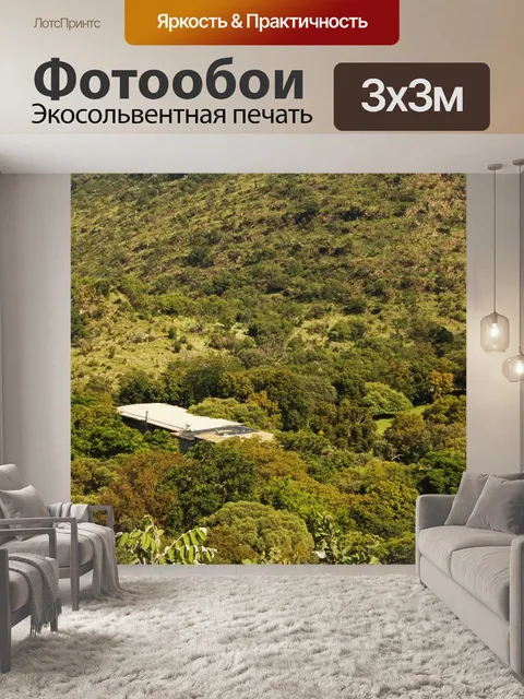 Фотообои кровля зданий в густом лесу