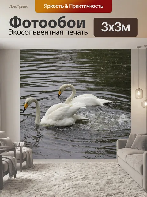 Фотообои Лебеди