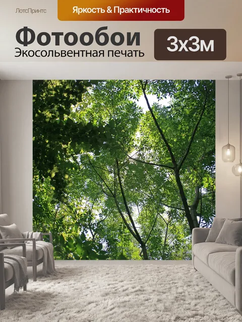 Фотообои свет на высоких деревьев