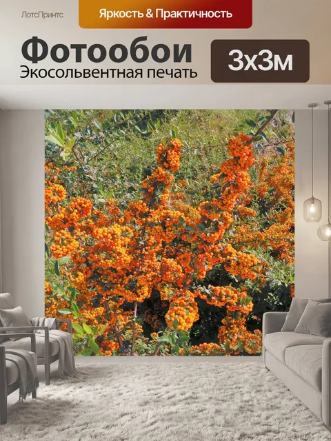 Фотообои Осень