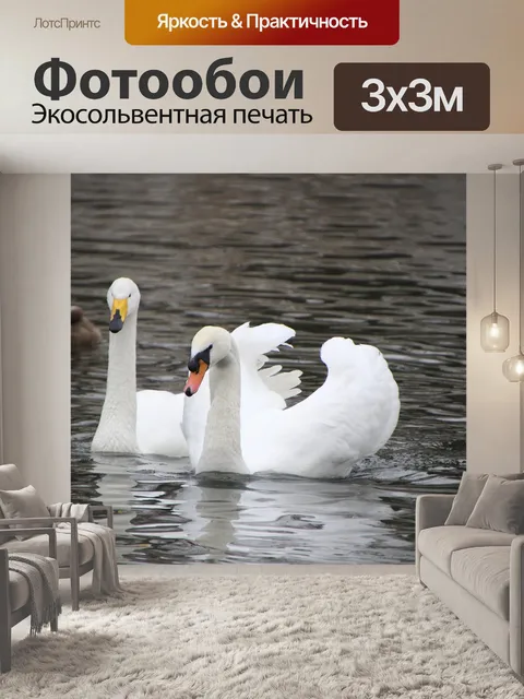Фотообои Лебеди