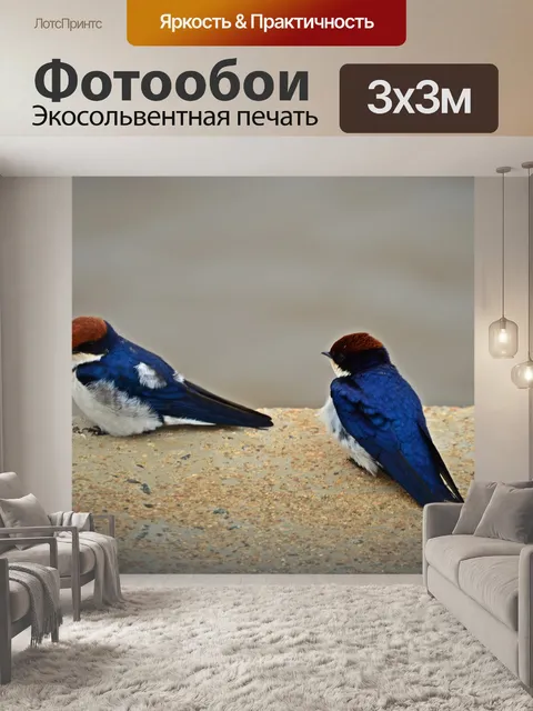 Фотообои Ласточки