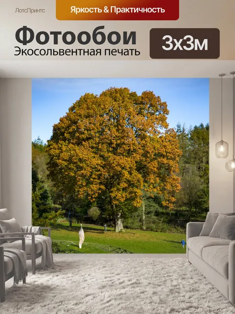 Фотообои дерево