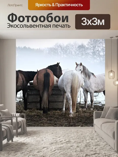 Фотообои Лошадь