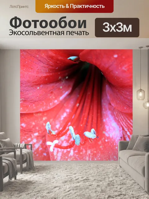 Фотообои Красный цветок