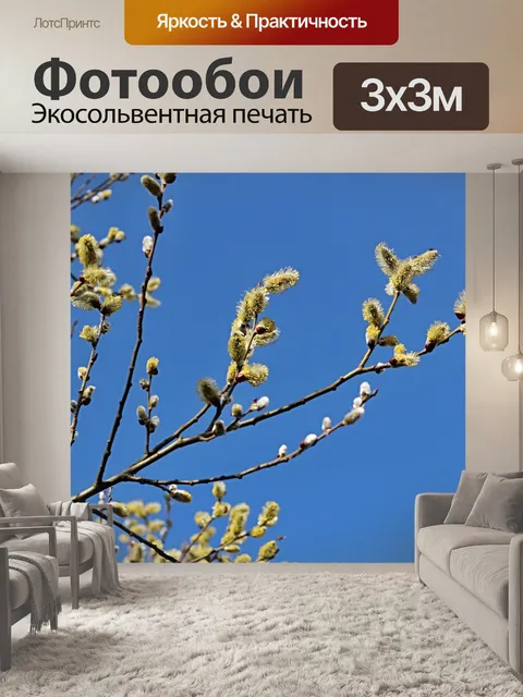 Фотообои Кошки