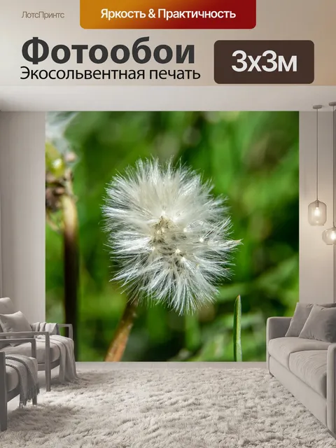 Фотообои Сад