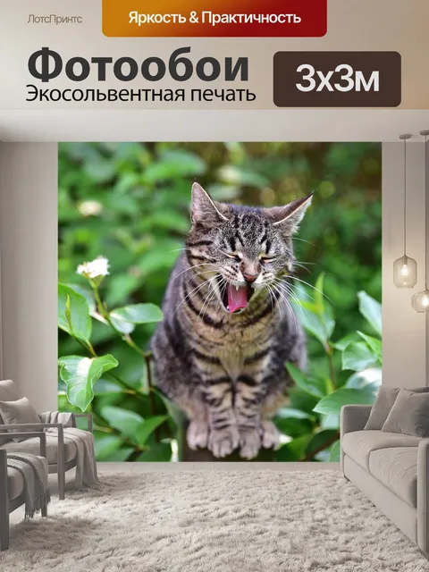 Фотообои Кошки