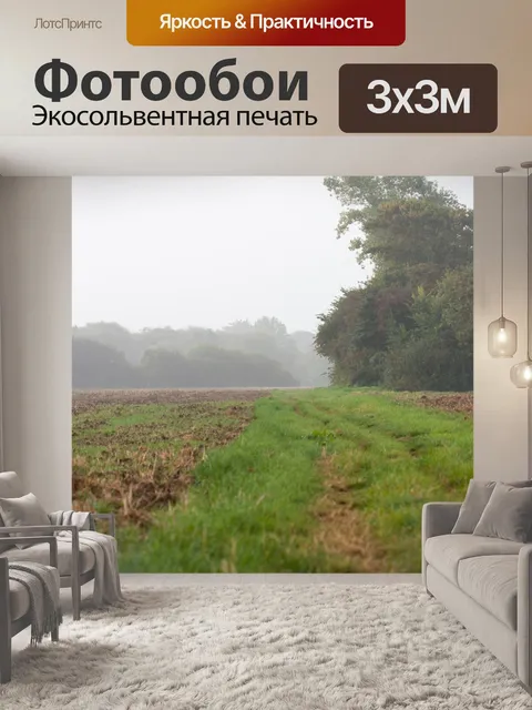 Фотообои Приусадебный участок рано утром туман