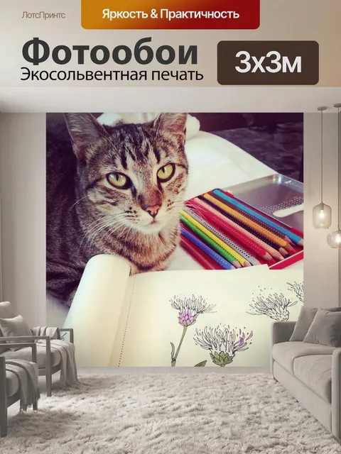 Фотообои Кошка