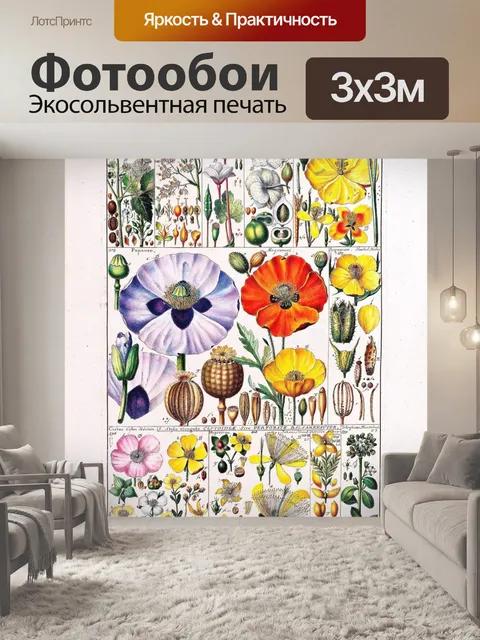 Фотообои Старинный плакат полевых цветов ботаниче