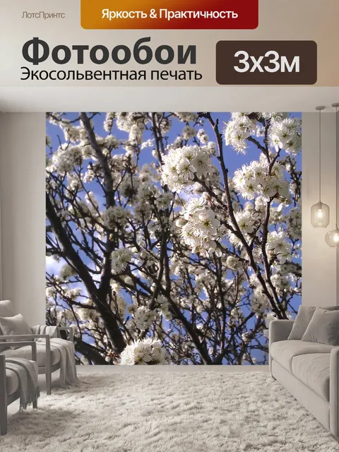 Фотообои Весна