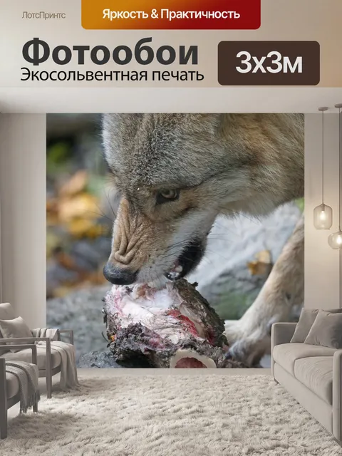 Фотообои Монгольский волк