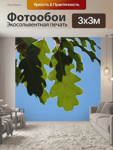 Фотообои Листья