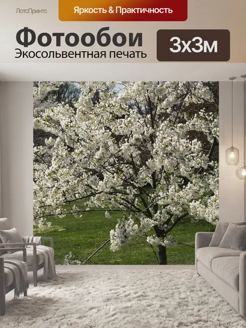 Фотообои Цветы