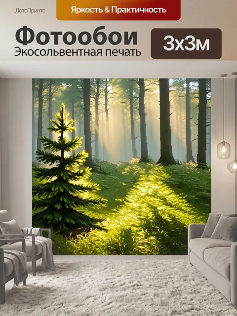 Фотообои лесной пейзаж весной, где еловые деревья начинаются пробуждаться с новыми побегами на фоне туманного леса