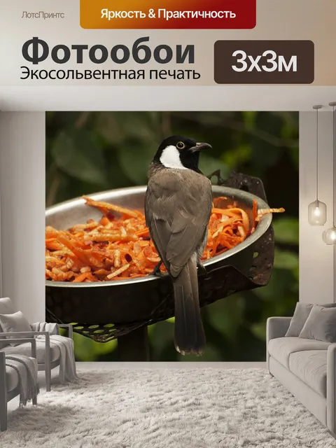 Фотообои Птица
