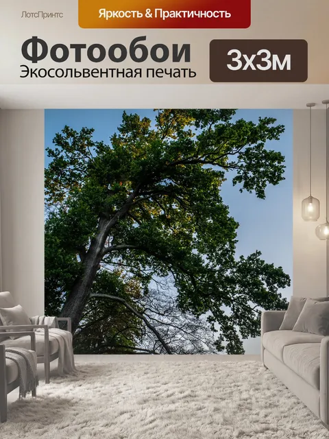 Фотообои Дерево