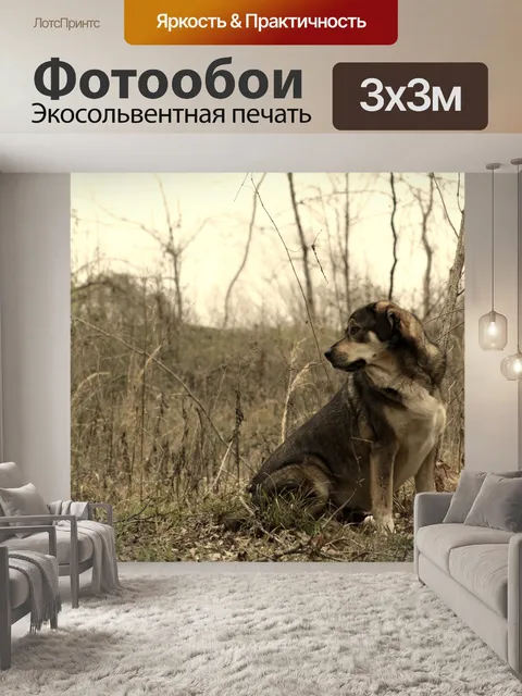 Фотообои Мотивационные