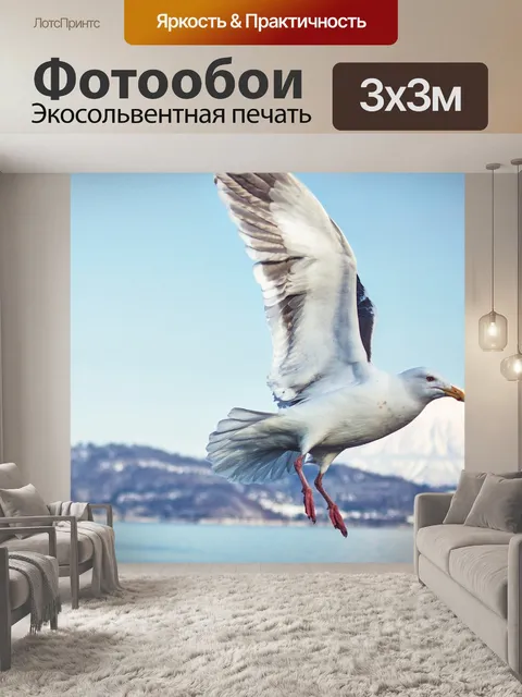 Фотообои Птица