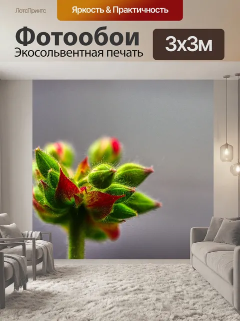 Фотообои Цветы